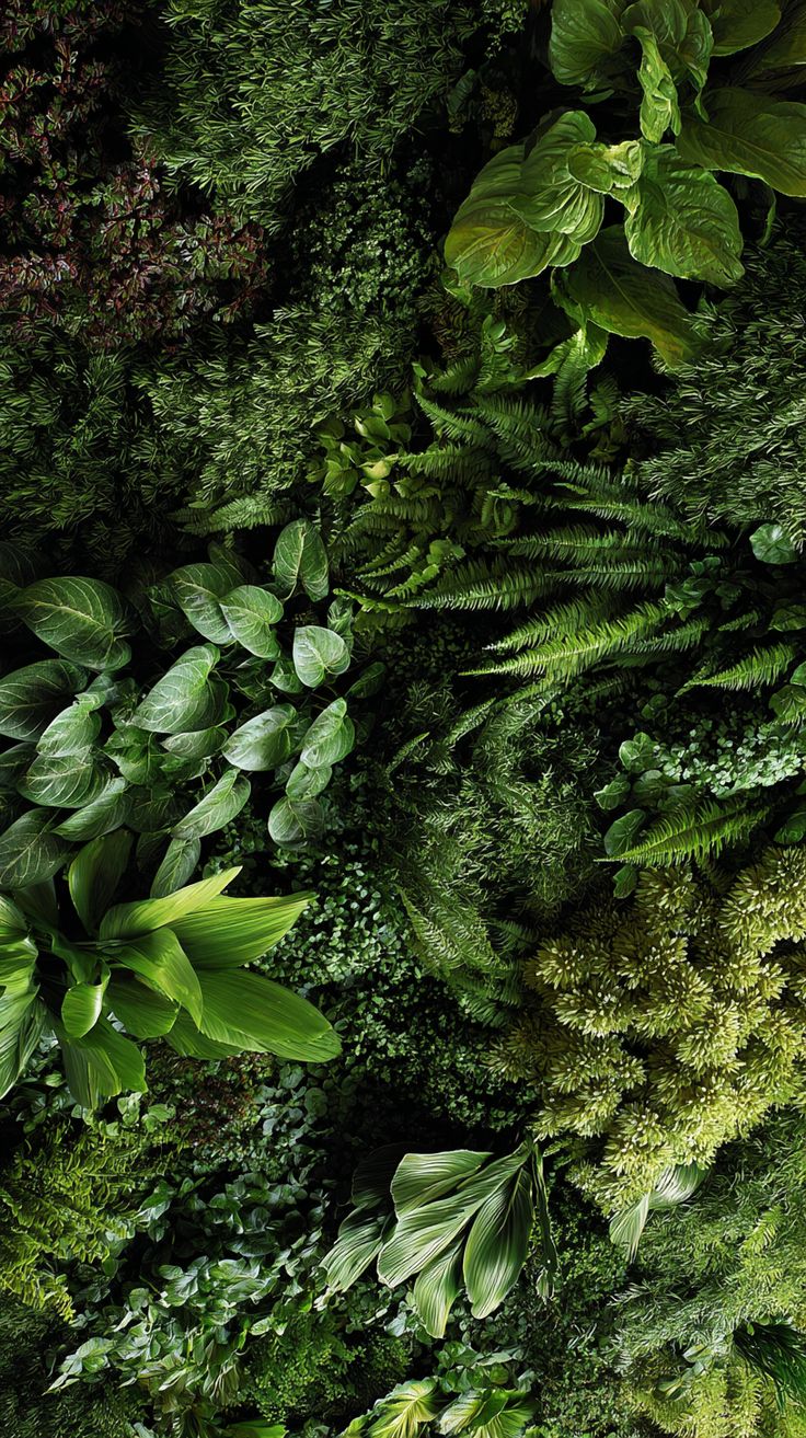 Muro verde con follaje tropical